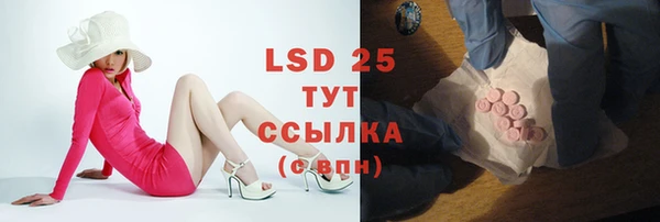 ПСИЛОЦИБИНОВЫЕ ГРИБЫ Майский