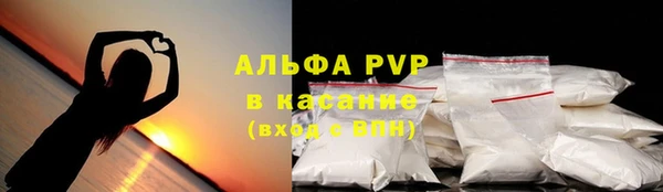 гашик Магас