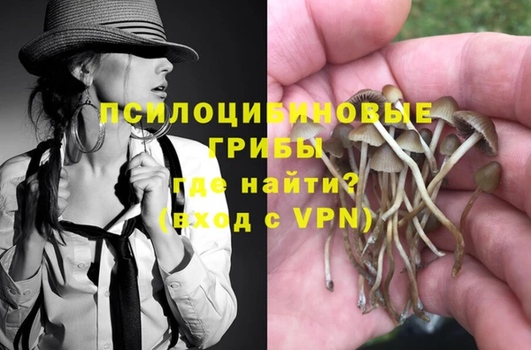 гашик Магас