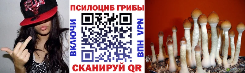 Галлюциногенные грибы мицелий  Афипский 